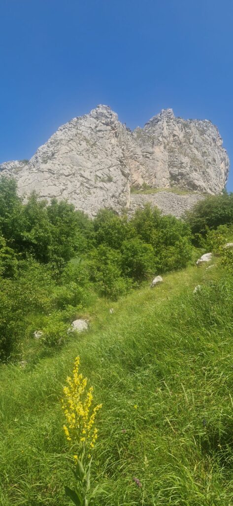 Stâncă din apropierea Pietrei Secuiului