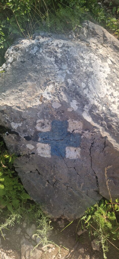 Marcaj cruce albastra spre Piatra din Trascău