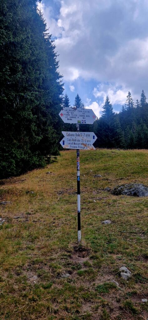 Poiana Pelegii, in Retezat